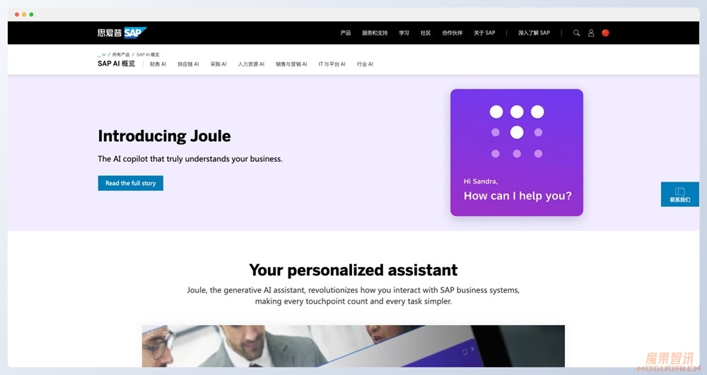 Joule-SAP旗下AI对话助手插图 Joule-SAP旗下AI对话助手