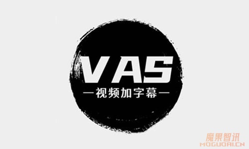 VAS:AI一键视频加字幕、字幕翻译