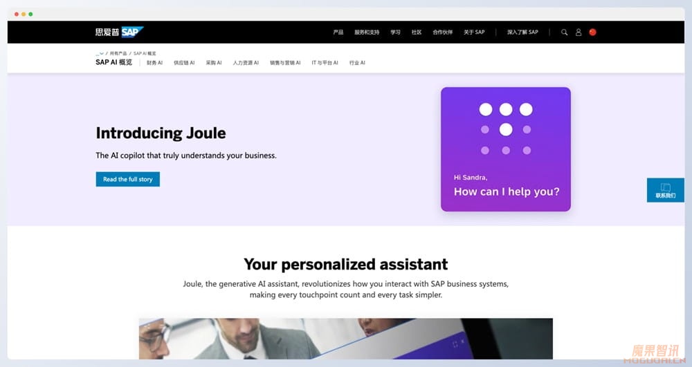 Joule-SAP旗下AI对话助手插图 Joule-SAP旗下AI对话助手