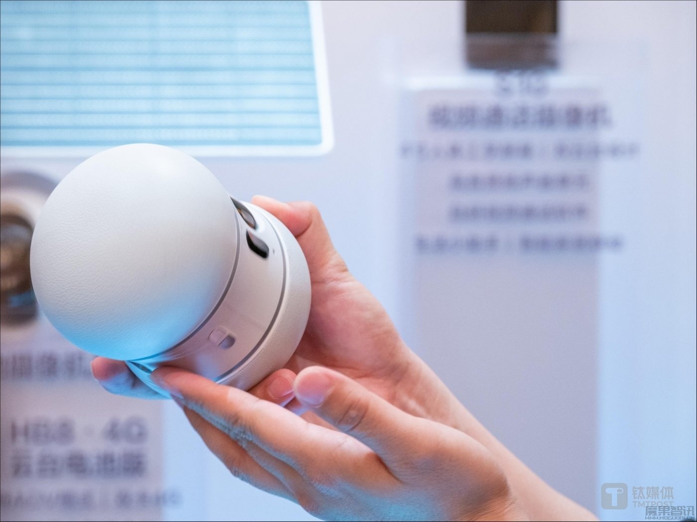 用AI养宠,让摄像头学会逗猫,萤石闯入宠物经济新赛道插图1 用AI养宠,让摄像头学会逗猫,萤石闯入宠物经济新赛道