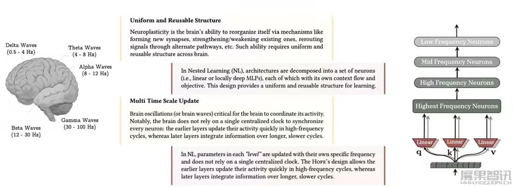 谷歌发布“嵌套学习”范式：让 AI 像人脑一样温故知新，从“健忘”到“过目不忘”