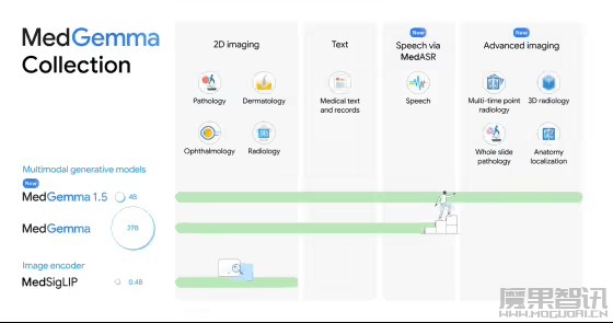 谷歌发布医疗 AI 模型 MedGemma 1.5 4B：可本地部署，CT、MRI 都能处理