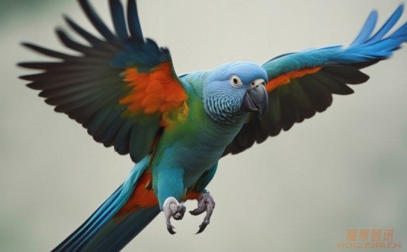 Stable Chat：Stability.ai开发的类ChatGPT产品