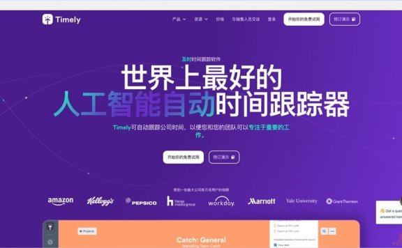 Timely-AI驱动的时间追踪管理软件
