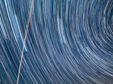 AI也可以生成延时视频了 MagicTime输入文本即可生成植物生长视频