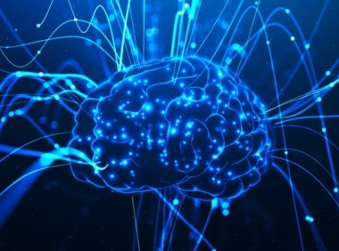 LobeChat支持通过网页版直接调用Ollama 本地模型 体验媲美ChatGPT