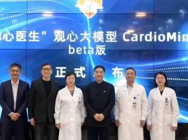 我国首个心血管专科医疗大模型“观心”发布：自动生成电子病历，顶尖医生经验辅助诊断