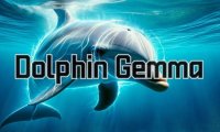 谷歌 DeepMind 开发 DolphinGemma AI 模型,助力海豚“语言”研究