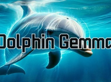 谷歌 DeepMind 开发 DolphinGemma AI 模型,助力海豚“语言”研究