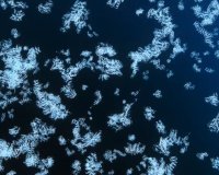 英伟达携手谷歌 DeepMind 与学术界发布全球最大蛋白质复合物数据集