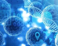 西湖大学联合阿里达摩院推出干细胞 AI 模型“归元”,可精准调控细胞“逆生长”