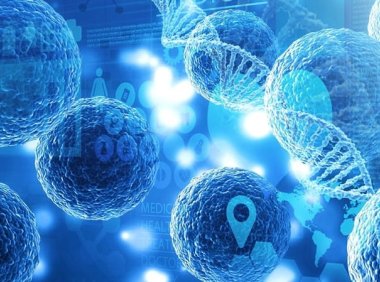 西湖大学联合阿里达摩院推出干细胞 AI 模型“归元”,可精准调控细胞“逆生长”